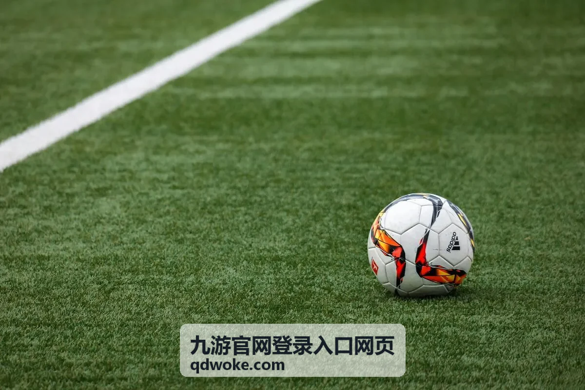 九游官网登录入口网页手机端登录通道入口
